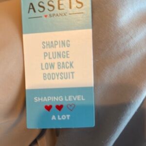 Spanx Shaping Plunge Bodysuit